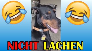 VERSUCHE NICHT ZU LACHEN  🤣🤣🤣 3 [upl. by Enyrhtak960]