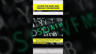 How to Access the Dark Web Through Tor Browser [upl. by Ztnaj295]