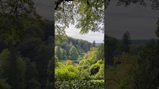 Autumn at Stourhead 🍂 england wiltshire stourhead autumndays autumnwalk autumn uk uktravel [upl. by Lewes860]