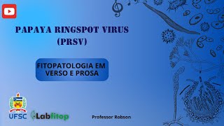 Papaya ringspot virus PRSV [upl. by Emmet]