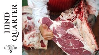 Beef Hind Quarter  Professional butchery up close [upl. by Hayidah]