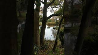 Thursday morning pond life in Autumn [upl. by Dibrin171]