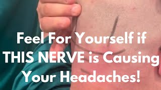 How to Check To See if Your Chronic headache is Coming from an Occipital Nerve Entrapment [upl. by Jsandye]