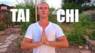 Tai Chi for Beginners  Chinese Tai Chi Chuan [upl. by Anelhtak565]