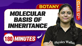 Molecular Basis of Inheritance in 180 Minutes  Class 12th Botany  Mind Map Series [upl. by Ban]