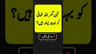 Golden words in Urdu  Urdu basic words  beautiful Islamic quotes  Quotes about life shorts [upl. by Charleen]