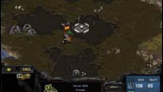 TSL Ro8 NonY vs Idra 20100214  Neo Tornado [upl. by Nyleek297]