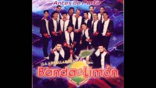 Fruta Prohibida La Arrolladora Banda El limon [upl. by Meenen]