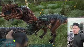 ARK Survival Evolved  Cày chay trải nghiệm 1 mình 19 [upl. by Akim907]