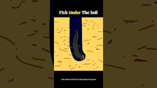 Fish under the soil shorts [upl. by Gundry]