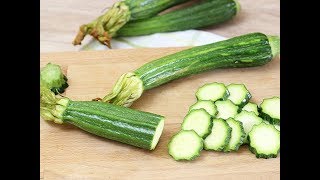 Zucchine Scopri le 10 Ricette Veloci e Sfiziose da Portarle in Tavola [upl. by Gambell]