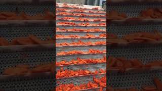 How to Process Carrot Carota Flakes By Machinery [upl. by Elesig]