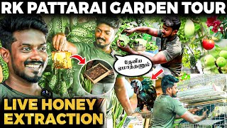 தேனீ கிட்ட தேன் திருட போறோம்😯500 SqFt MINI FOREST🤩Taiwan Mango Iraq மாதுளை😱RK Pattarai Garden Tour [upl. by Ilram]