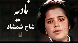 Nadia JoyanShakhe Shamshadنادیهشاخ شمشاد [upl. by Viridissa329]