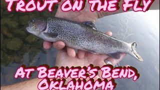 Trout on the Fly at Beavers Bend Oklahoma TroutOnTheFly [upl. by Gustav21]