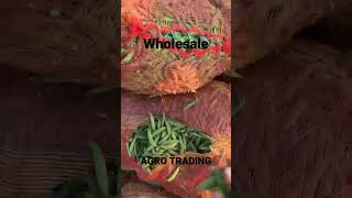 Wholesale Matar  Agro Trading Matar Ghobi Gajar Pyaj Allu Mirchi Contact me [upl. by Akram863]