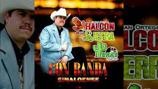 El Halcon De La Sierra  CON BANDA SINALOENSE ALBUM COMPLETO [upl. by Norraf]