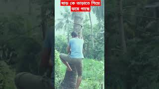 ষাড় কে তাড়াতে গিয়ে গাছে😃😀😆😿😇😃🦬🐂🐃funny comedy youtubeshorts viralvideo video [upl. by Ellehsar]