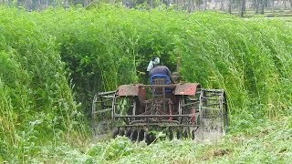 Mahindra 475 Tractor Puddling In Forest Like Plants InTractor Videos Palleturi [upl. by Refinnaj362]