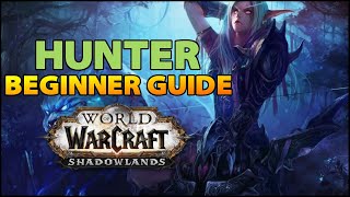 Hunter Beginner Guide  Overview amp Builds for ALL Specs WoW Shadowlands [upl. by Jarrod]