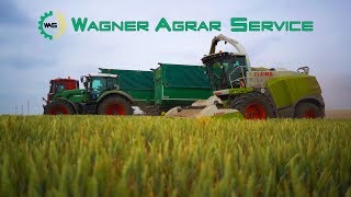 Wagner Agrarservice  CLAAS Jaguar 980  GPS  BGA  Claas Xerion 4500  Fendt 900 Vario  MB Actros [upl. by Enylekcaj]