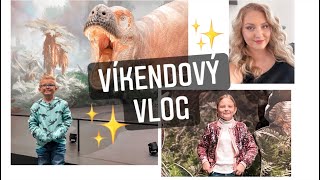 ✨VÍKENDOVÝ VLOG🧡🍂  vánoční focení🎄  výlet s dětmi💖  ChristieampBabies [upl. by Marshal528]