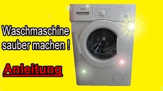 Waschmaschine komplett reinigen  Waschmaschine richtig sauber machen  Anleitung [upl. by Yennaiv512]