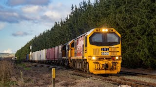 KiwiRail on the PNGL  Chasing train 623 Hastings to Woodville 4K [upl. by Annaerb]