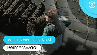 Waar zee land kust Reimerswaal [upl. by Tilda]