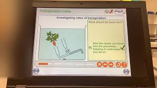 KS5ALEVELBIOLOGYPlant TransportSetting up a Potometer [upl. by Papst]