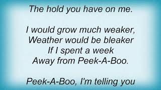 The New Vaudeville Band  PeekABoo Lyrics [upl. by Tobie104]