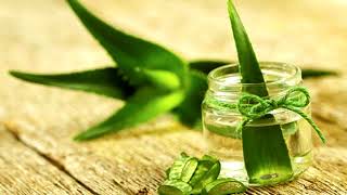 Comment cultiver de l’aloe vera à la maison [upl. by Isied]