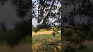 Hampstead Heath london nature slow travel bollywood [upl. by Henden177]