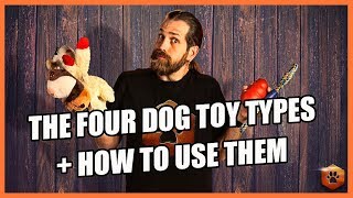 How to Use the 4 Types of Dog Toys RIGHT [upl. by Keldon608]