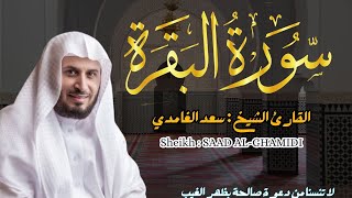 القارئ الشيخ  سعد الغامدي سورة البقرة  Sourat Albaqarah Sheikh SAAD ALGHAMDI [upl. by Aeduj]