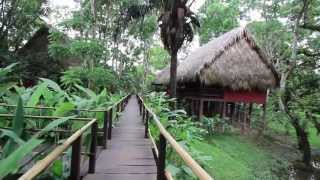 Centro Ecoturístico Las Guacamayas Chiapas [upl. by Niveg]