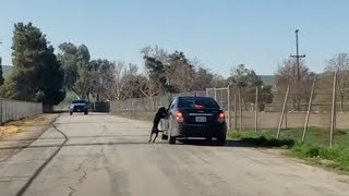 Video Shows Dog Running After Owner After He Abandons It On The Side Of The Road [upl. by Acinorav]