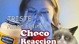 ChocoReaccion Triste amor felino [upl. by Stannwood]