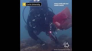 Snapping Shrimp Create Rowdy Reef in Kimberley Marine Park by Curtin University [upl. by Eri678]