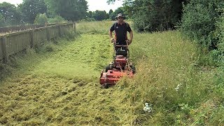 Cutting Very Long Grass  Like A Jungle [upl. by Haidebez]