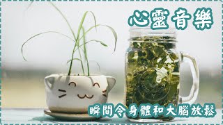 心靈音樂 瞬間令身體和大腦放鬆【1小時】 有助多巴胺分泌 入眠、放鬆、舒緩、休息 Relaxing Music Soothing Music [upl. by Mil]