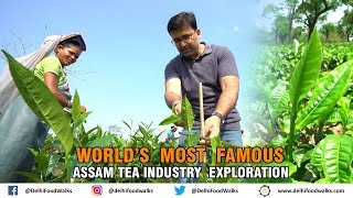 Worlds Most Famous Assam Tea Industry Explorations [upl. by Snowman]