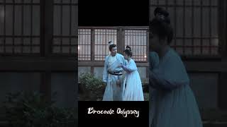 🔥  Brocade Odyssey  YOUKU [upl. by Trutko]