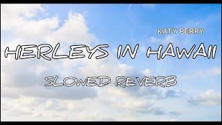 Herleys in Hawaii slowed reverb  new creation by Badal Kaushik [upl. by Jarad]