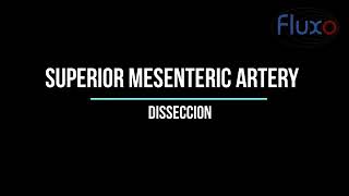 Superior Mesenteric Artery Dissection [upl. by Fabozzi]