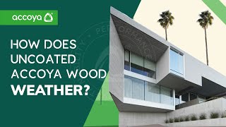 Accoya wood weathering  What to expect with uncoated Accoya [upl. by Joscelin714]