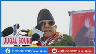 today news 🔴 nepali news aaja ka mukhya samachar nepali samachar live kartik 25 gate 2081sharemarket [upl. by Annoled753]