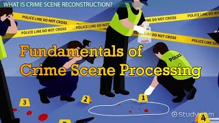 Fundamentals of Crime Scene Processing [upl. by Shayn128]