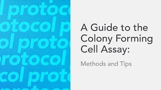 A Guide to the Colony Forming Cell Assay Methods and Tips [upl. by Fernas]