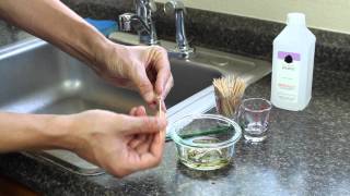 How To Clean Glass Tips How Good is Randys Glass Cleaner [upl. by True]